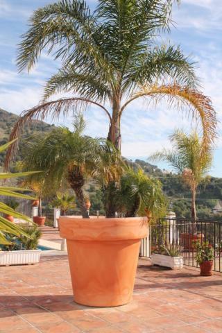 Villa El Nido Nerja Bagian luar foto
