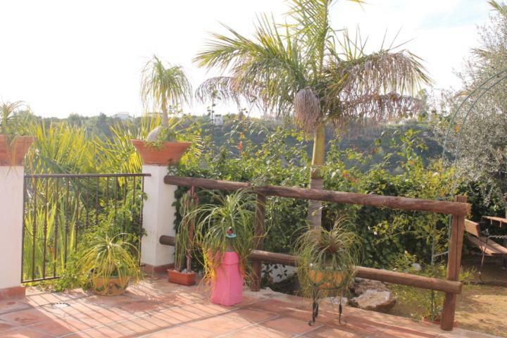 Villa El Nido Nerja Bagian luar foto